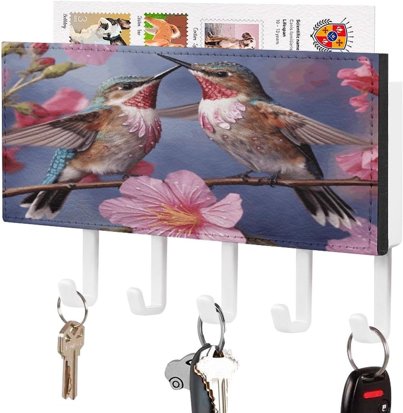Key Holder Wall Mount Key Hanger with 5 Hooks, Decorative Key Rack | Humming Birds With Pink Hanging Key Hooks with Mail Organizer for Wall Living Room Kitchen Bathroom Hallway