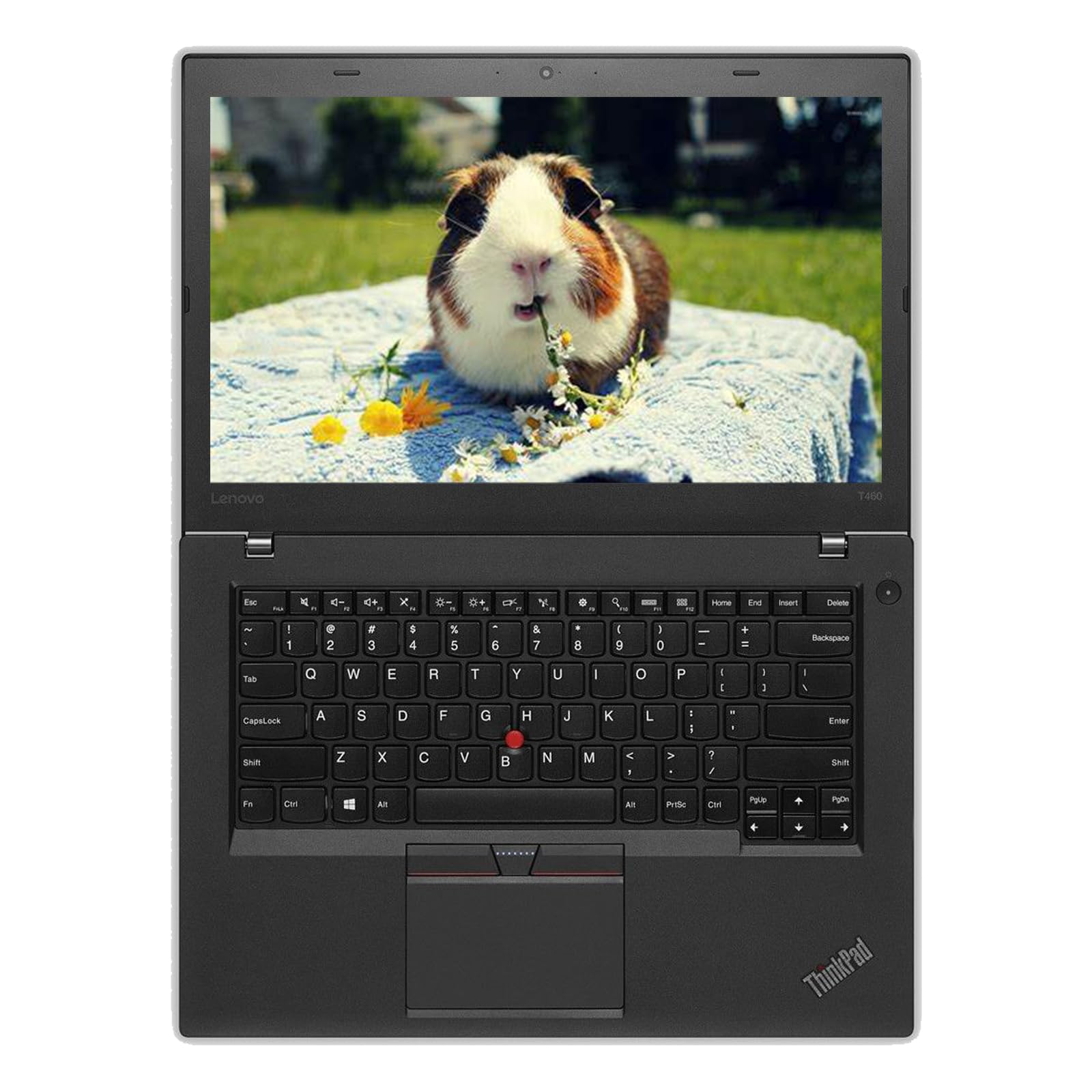 Lenovo - 正規Office付‼️　LENOVO　THINKPAD　T460　ノートパソコン Amazon.com: Lenovo ThinkPad T460 14 Inch Business Laptop