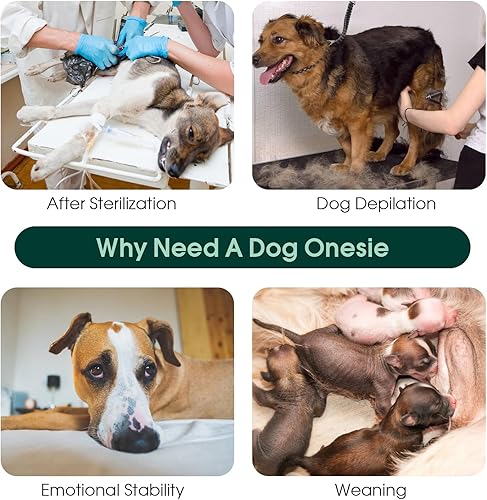 Miniatura 4 de Kuoser Traje de recuperación de cirugía para perros, traje de recuperación para perros machos hembras, mameluco para perro después de la cirugía,