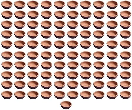 DIYAS Handmade Traditional Clay Mitti Diya Oil Lamps for Diwali Pooja Candle for Diwali Decoration & Gift (31)