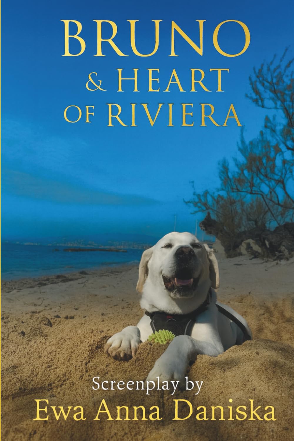 Bruno & Heart of Riviera: A feel-good Riviera story about friendship and second chances.
