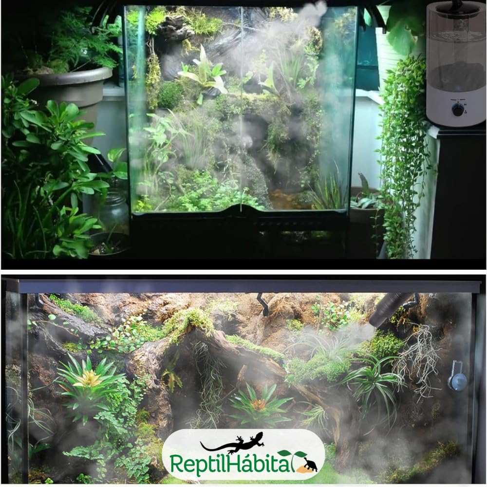 Nebulizzatore ad ultrasuoni per rettili - Ideale per anfibi e rettili - CREA Nebulizzatore sottile per idratazione e benessere