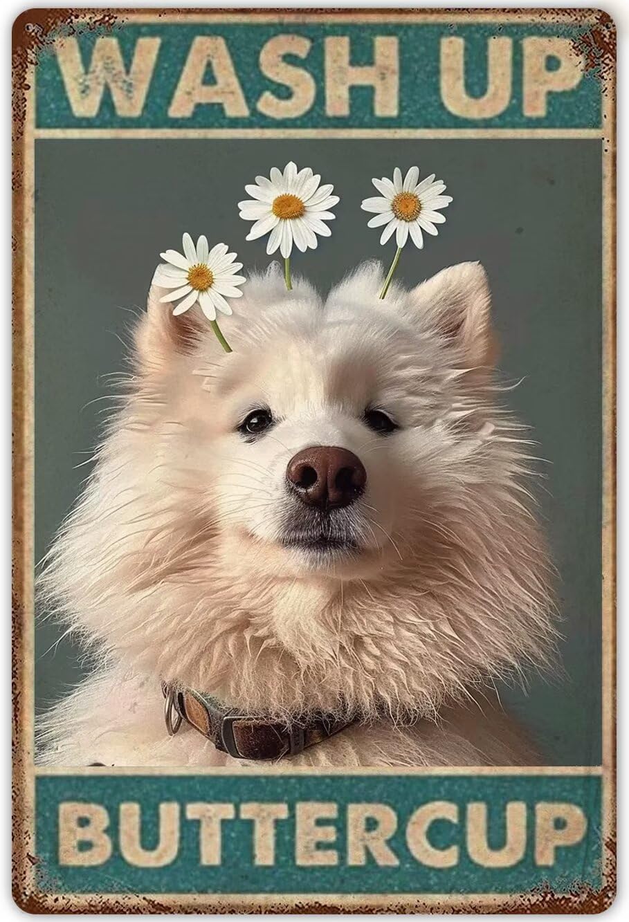 Anceky Vintage Samoyed Tin Sign Funny Bathroom Signs Wash Up Buttercup Metal Poster Retro Plaque Wall Decor For Garden Men Cave Garage Classroom Library Living Room Cinema 8x12 Inch