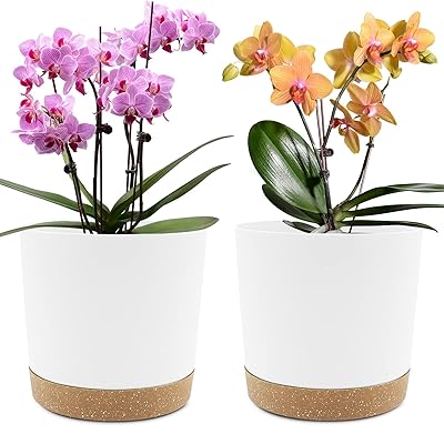 QCQHDU 8 inch Plant Pot
