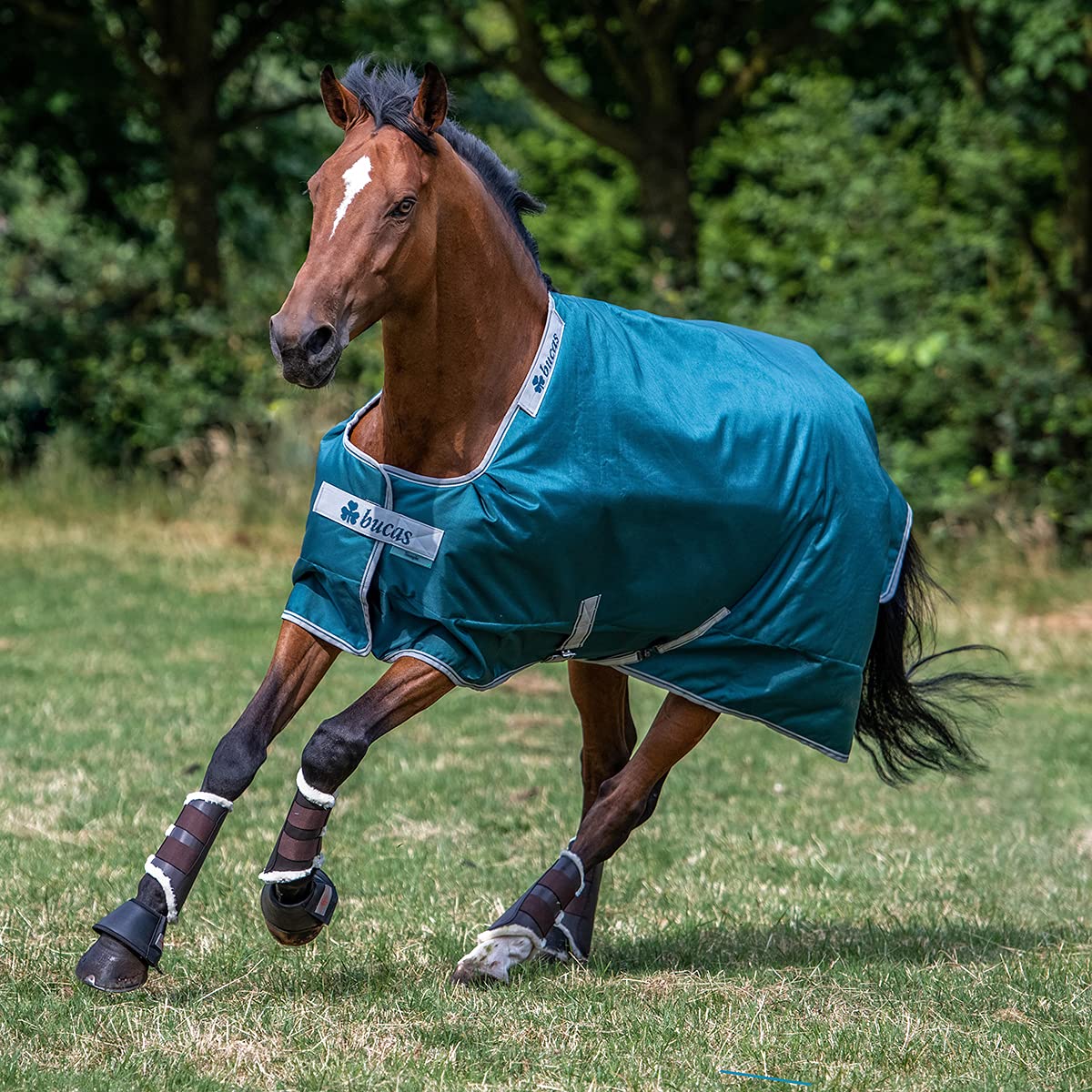Bucas Atlantic Turnout - Coperta per cavalli, 200 g