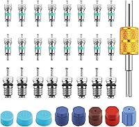 YGDMD 33PCS Car AC Valve Core Kit - R134A/R12 Valve Cores, High/Low Pressure Caps & Removal Tool to Restore Cooling
