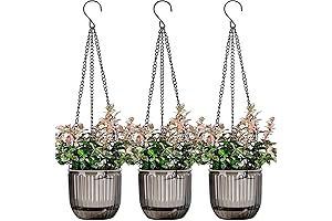 Transparent Self Watering Hanging Planter for Indoor and Outdoor Use