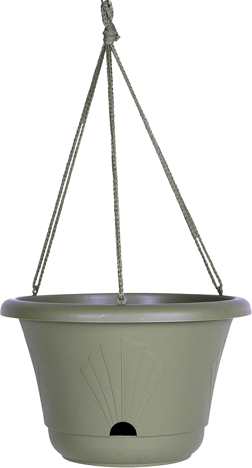 Bloem Lucca Self Watering Hanging Basket, 13", Living Green (LHB1342) : Patio, Lawn & Garden