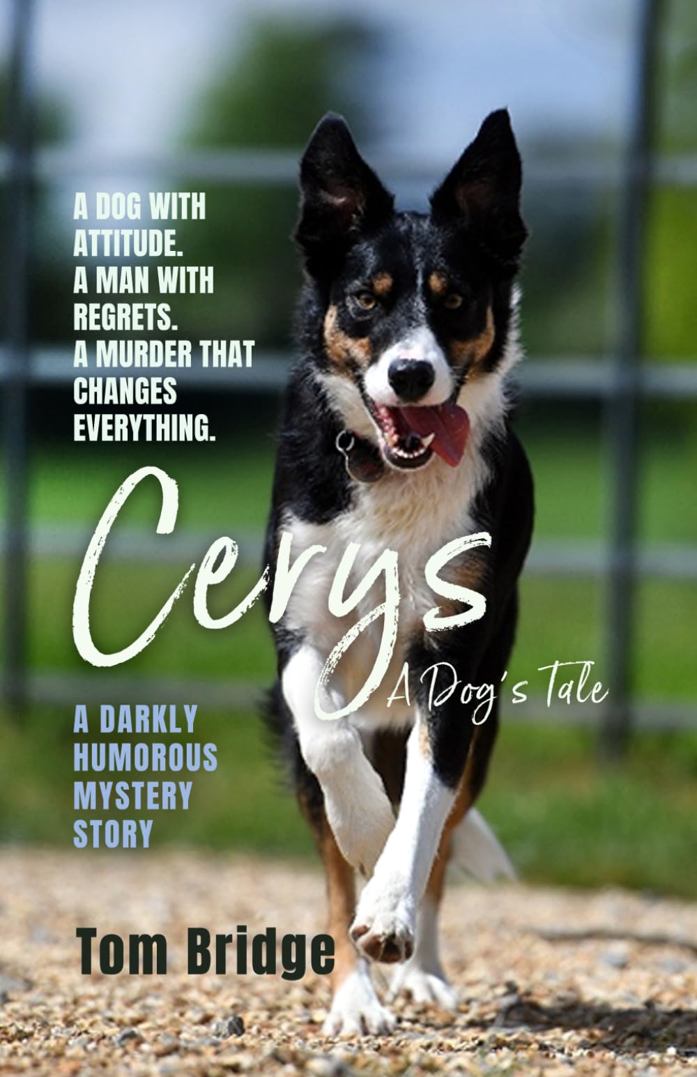 Cerys, A Dog’s Tale: A darkly humorous mystery story