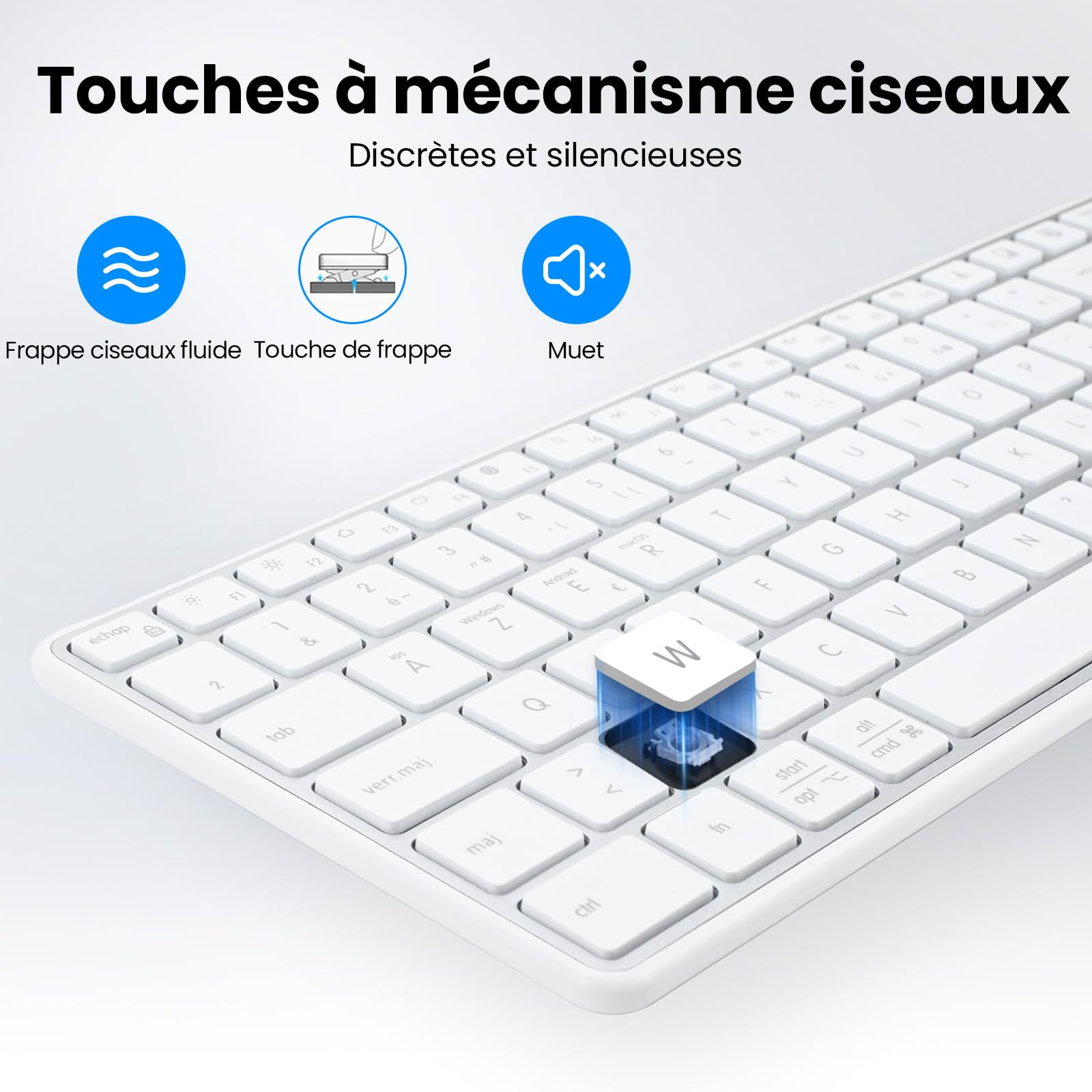 Tastiera Bluetooth senza fili in acciaio inox, a dimensione completa con tastierino digitale, multi-dispositivo, tasti silenziosi a profilo basso, doppia modalità 2.4G + Bluetooth per PC