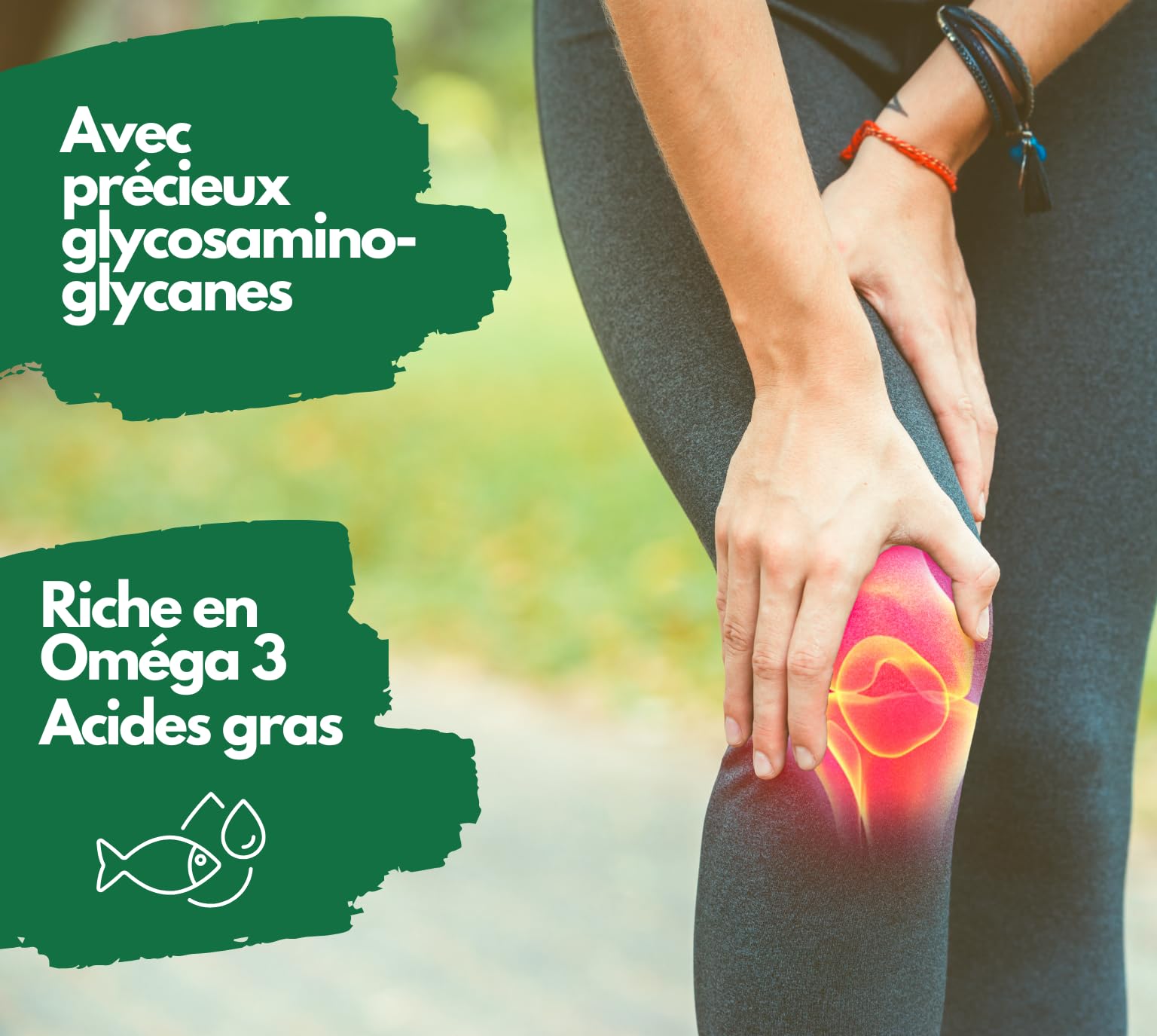 Moules aux orles Verts de Nouvelle-Zélande 1500 MG - Oméga 3 et glycosaminoglycanes - 300 gélules de Poudre de moules aux orles Verts, sans additif