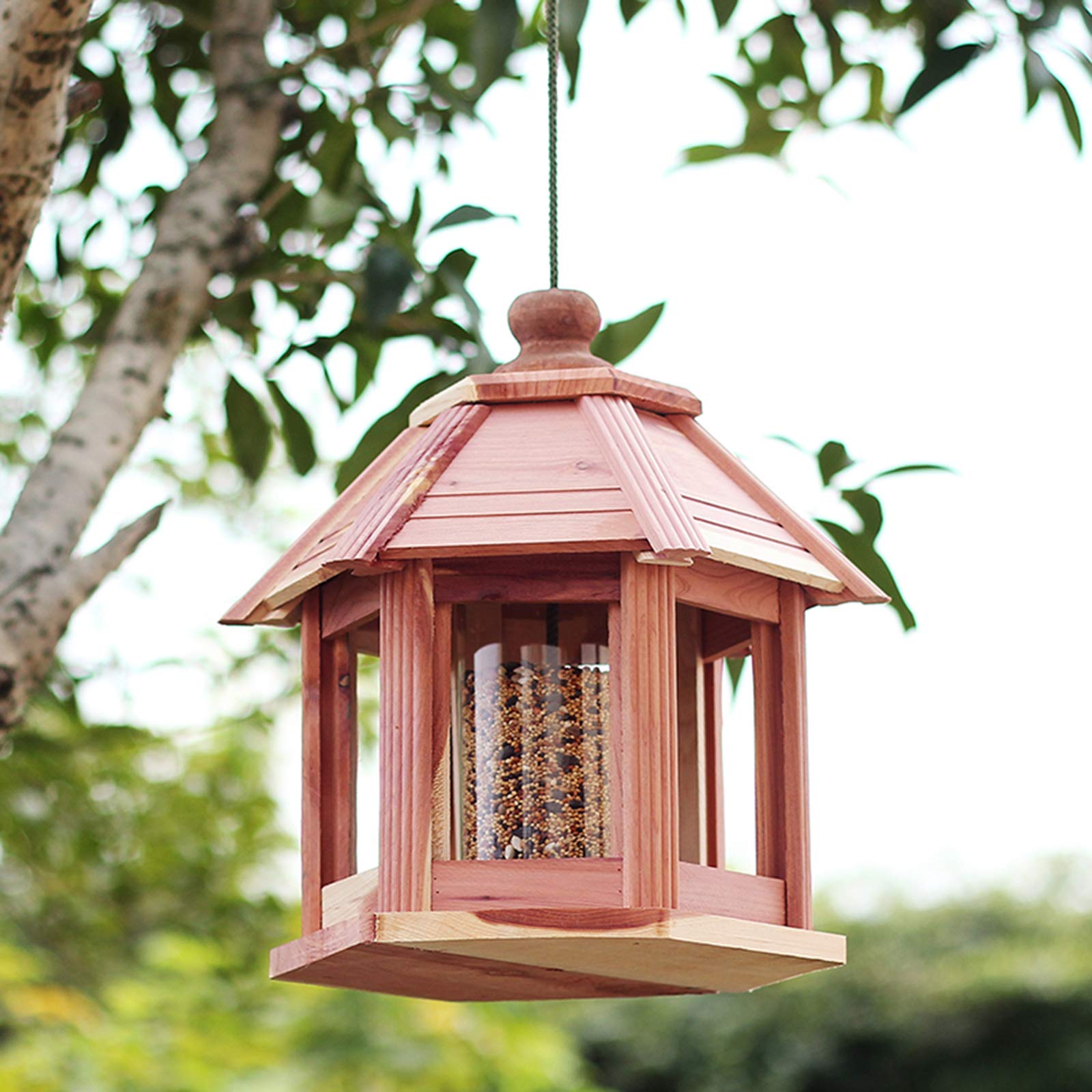 Alimentador de Aves Silvestres Que cuelga para el Patio de jardín Decoración Exterior, forohouse Birdfeeder, Fácil Relleno y Limpio.