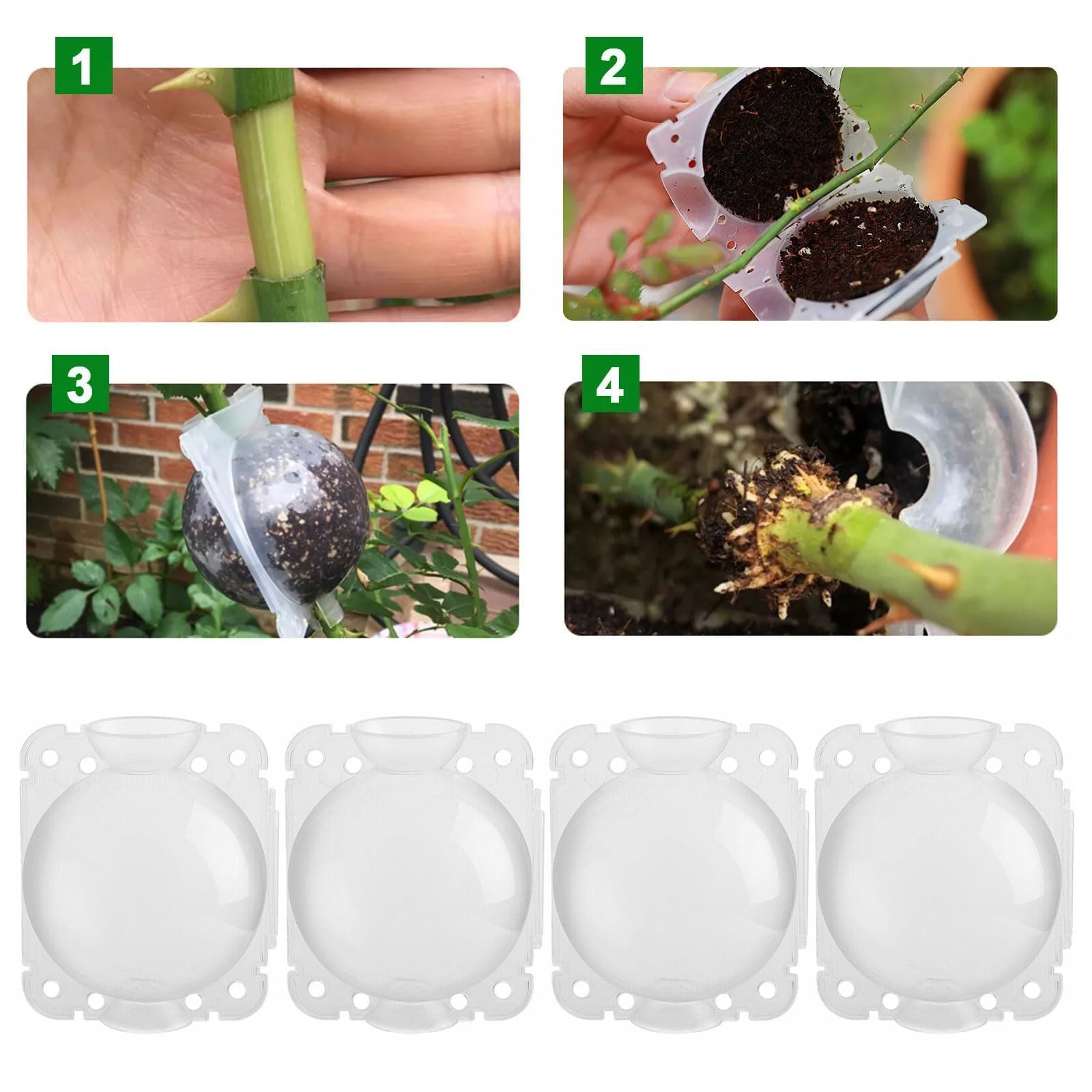 Kit 6 Contenitori Per Radici Piante - Radicatore Ad Alta Pressione Riutilizzabile - Foto 8