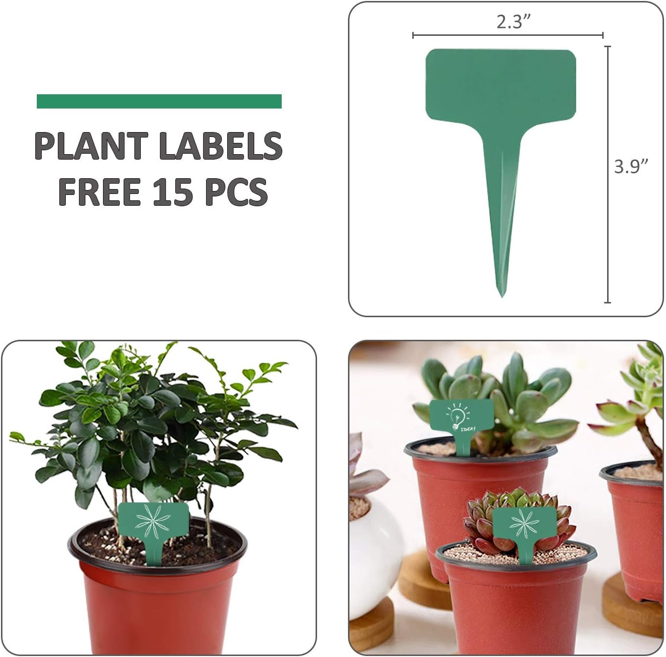 GROWNEER 120 Packs 4 Inches Plastic Plant Nursery Pots with 15 Pcs Plant Labels, Seed Starting Pot Flower Plant Container for Succulents, Seedlings, Cuttings, Transplanting: Garden & Outdoor