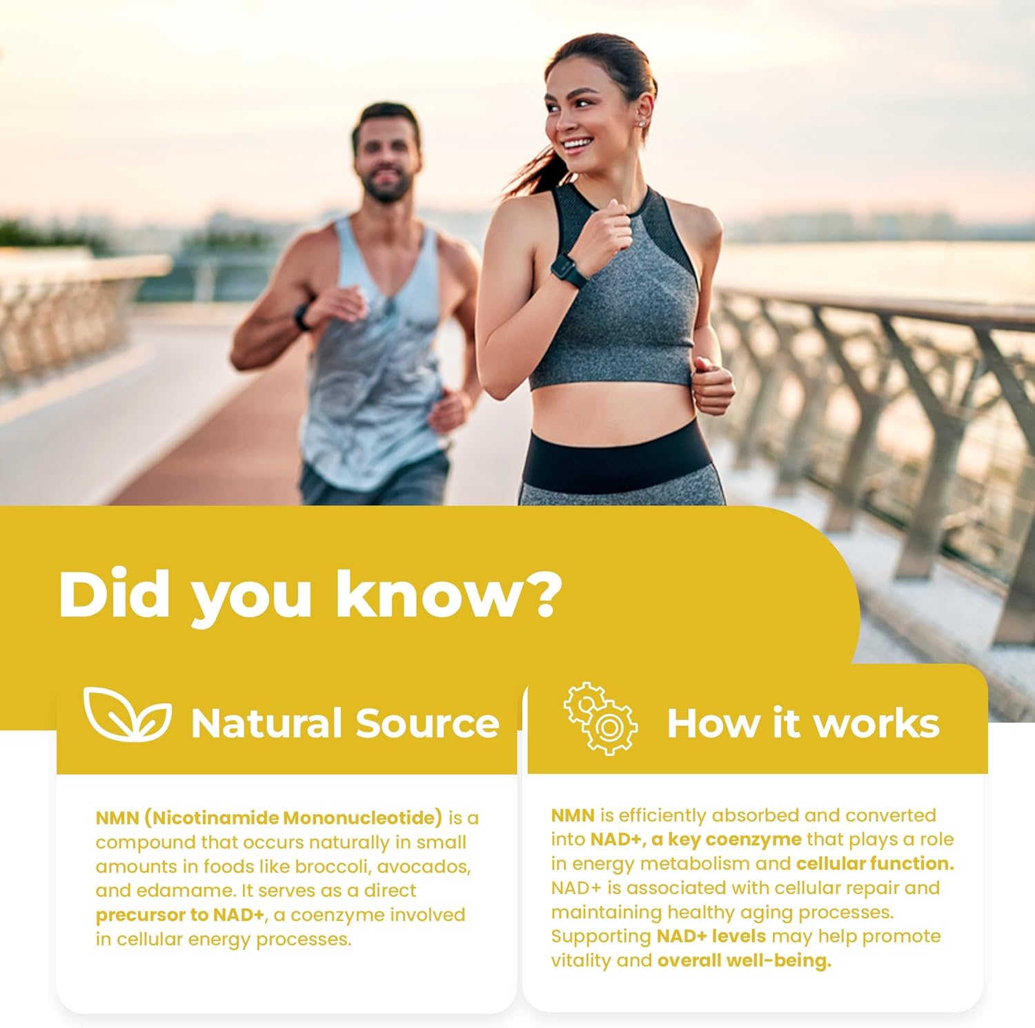 Nutrawave High Potency NMN Supplement Canada – 600mg NMN | Pure NAD+ Booster for Energy, Longevity, Brain & Metabolism | NAD Supplement, Non-GMO, Vegan, 60 Capsules - Image 6