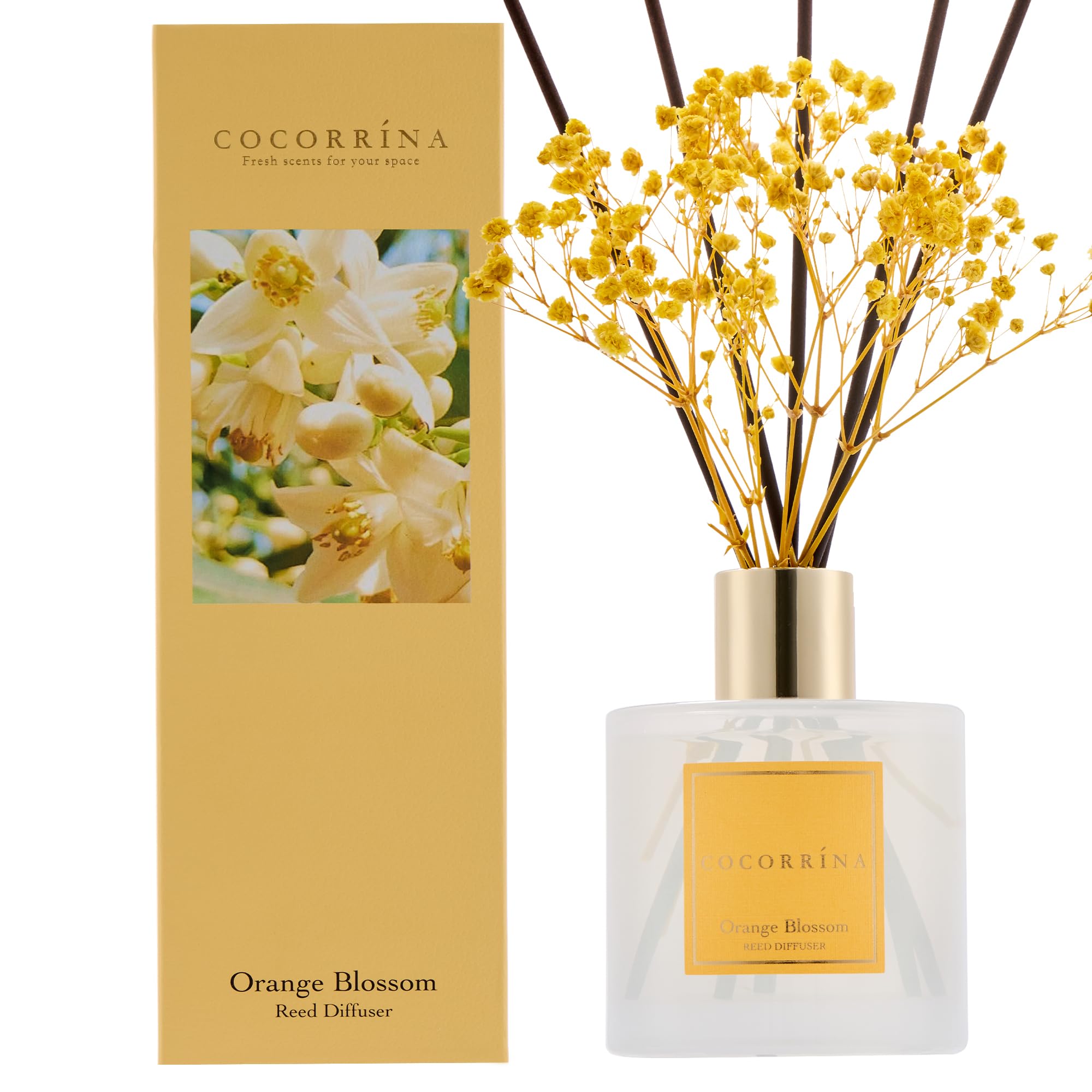 COCORRÍNA Reed Diffuser with 8 Sticks, 200ml Orange Blossom Scented Diffuser, Home Fragrance for Bedroom Bathroom Living Room, Home & Office Decor — image 1