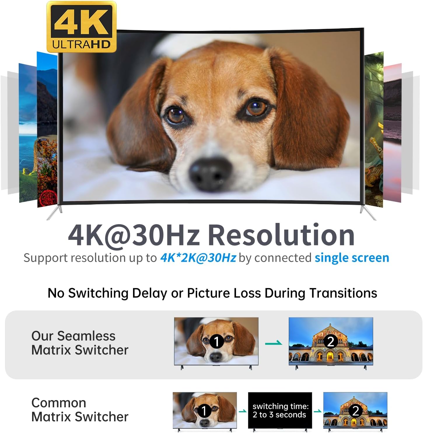 https://m.media-amazon.com/images/I/71nP8WLgRUL._AC_SL1500_.jpg