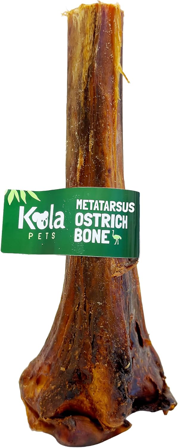 Metatarsus Ostrich Bones For...