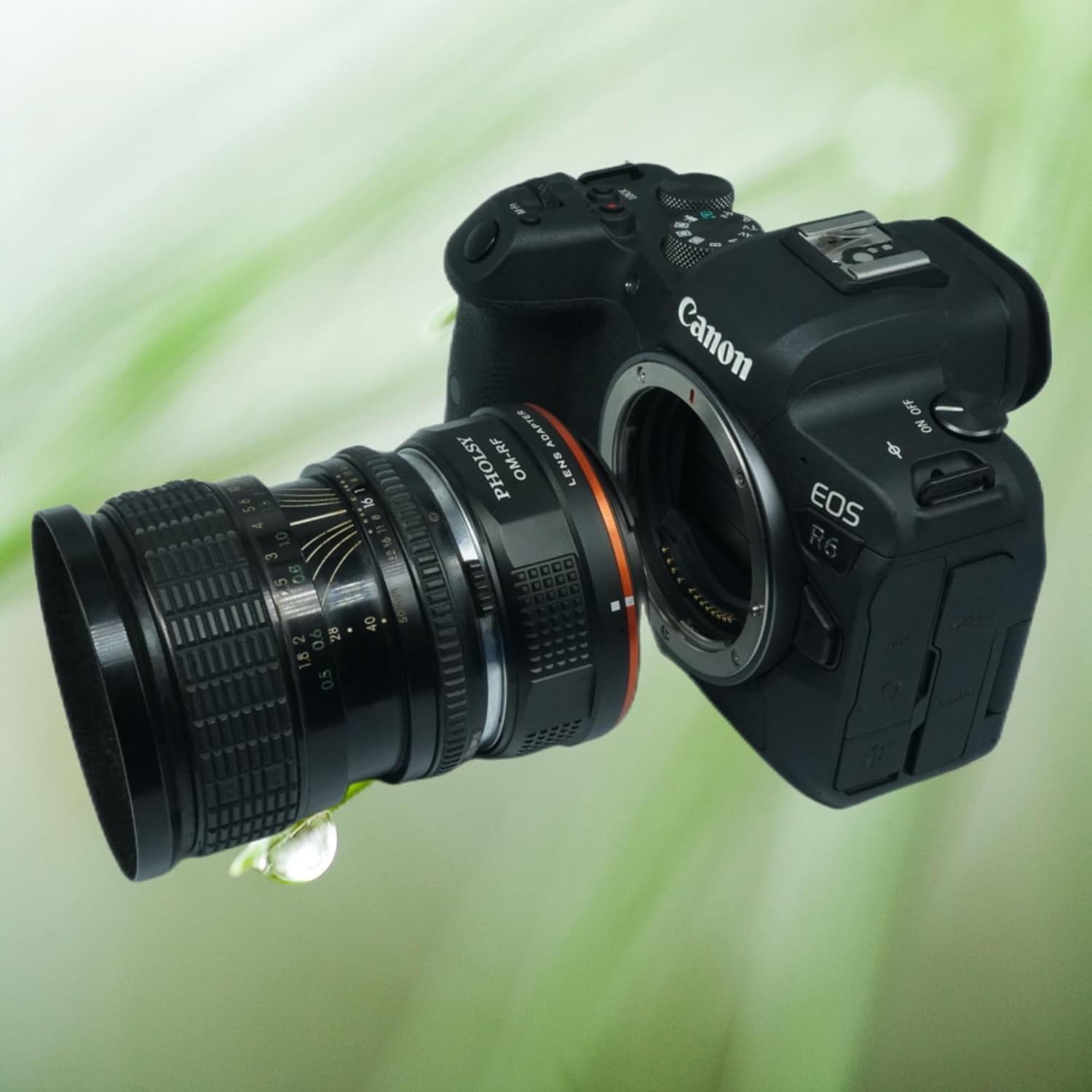 PHOLSY Lens Mount Adapter Manual Focus: Compatible with Olympus OM Lens to Canon RF (EOS R-Type) Camera Body