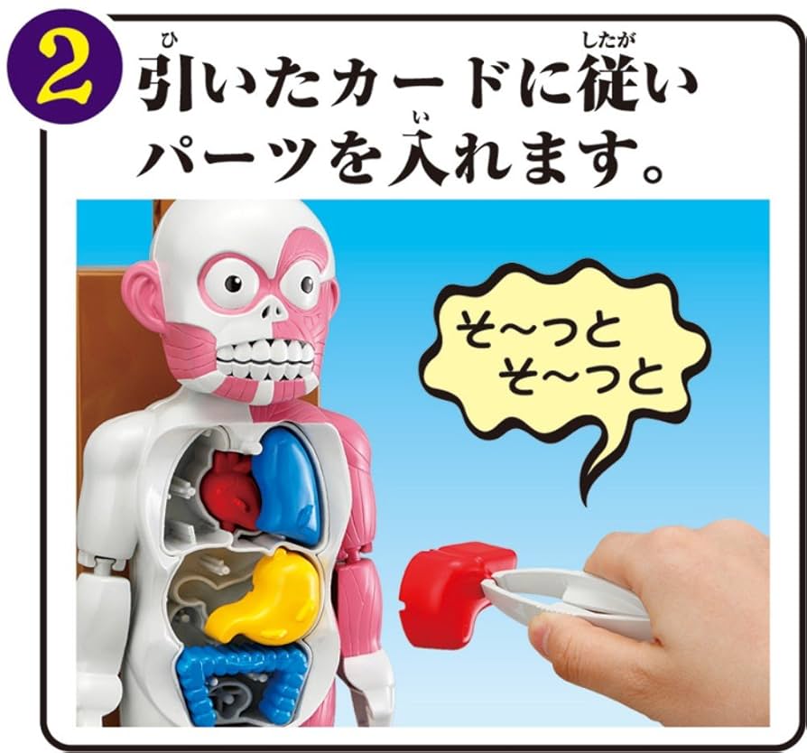 放課後の怪談シリーズ　恐怖！ドキドキクラッシュ　人体模型ボンバー Amazon | 放課後の怪談シリーズ 恐怖!ドキドキクラッシュ人体