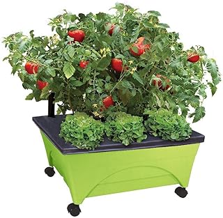 City Picker Raised Bed Grow Box – Self Watering and Improved Aeration – Mobile Unit with Casters - Sage Green