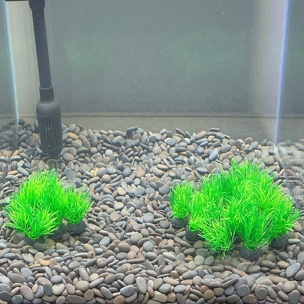 Smoothedo-Pets Aquarium Plant Fish Tank Decoration 20 Pieces Small/1" Tall Plastic Artificial Plant Goldfish Hidden Mini Grass Set (Green-C)