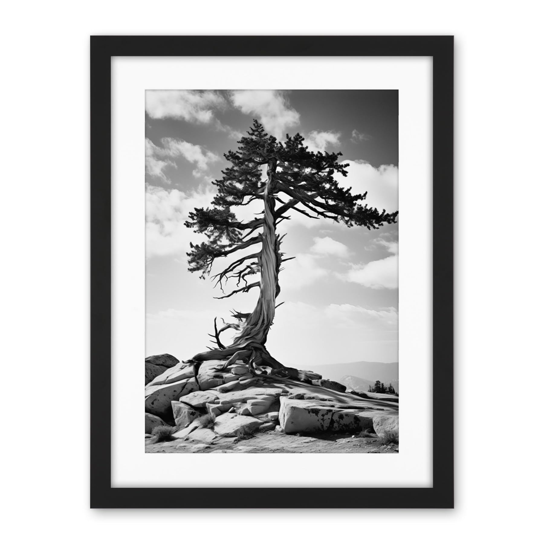 Artery8 Weathered Jeffrey Pine Standing on a Rocky Hill Black and White Photograph Lone Tree Artwork Framed Wall Art Print 18X24 Inch