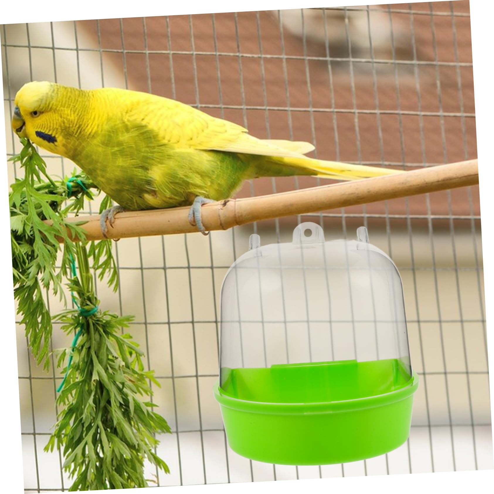 POPETPOP 4pezzi da per Uccelli Box da Appendere per Pappagalli Accessori per La Uccelli per Bagni Regolari e Sicuro e Colore