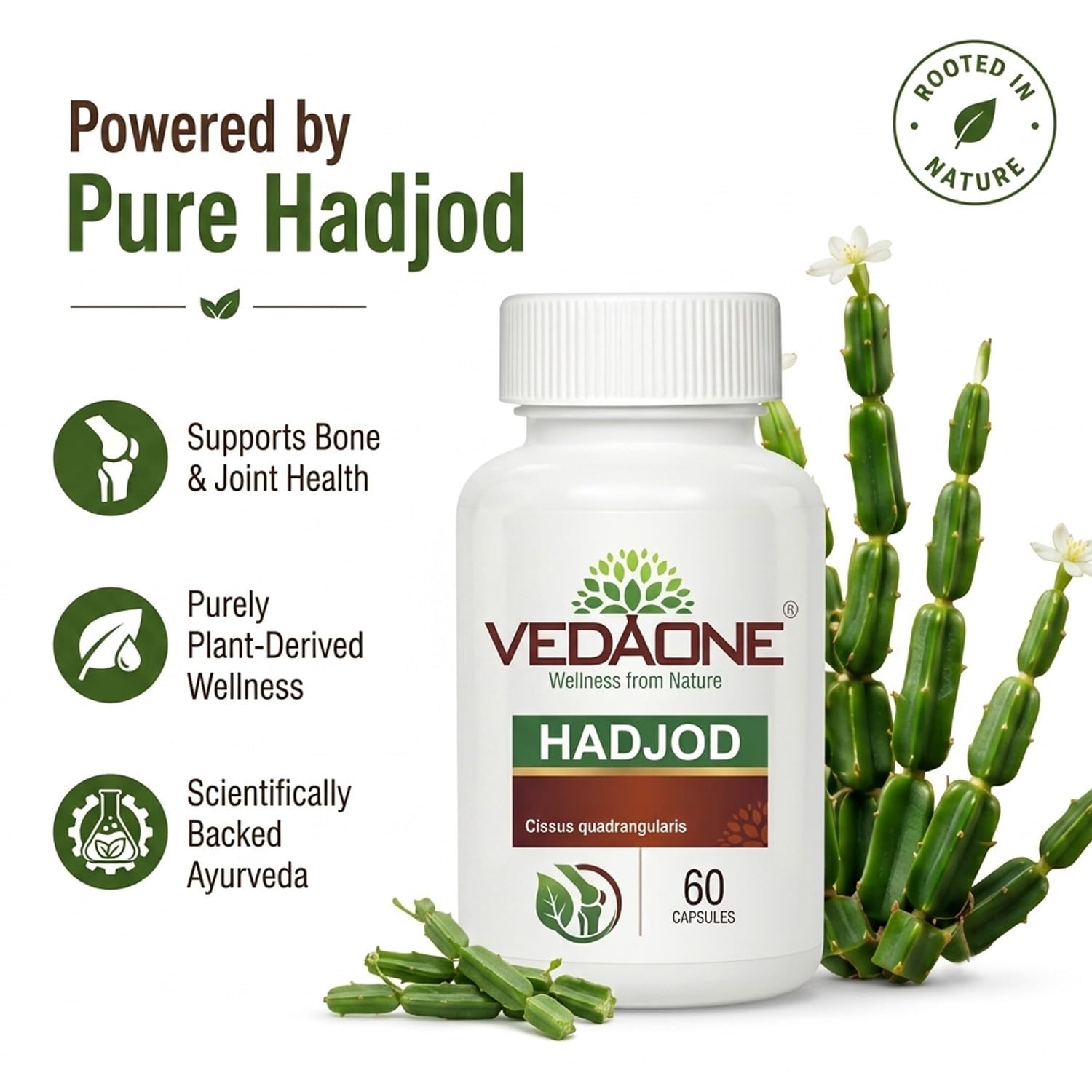 Vedaone Hadjod 450mg - 60 Capsule 1