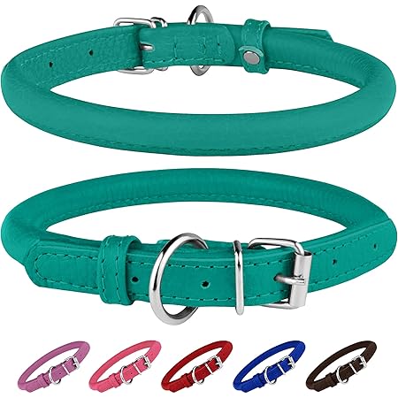 amazon rolled leather dog collar