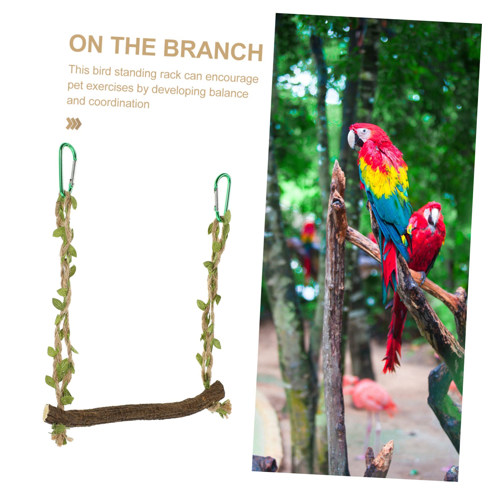 YARNOW 5pièces Perche pour Oiseaux Jouet à Balançoire Naturel pour Perruches Et Perroquets Support Entraînement Pratique Et Accessoire pour Cage à Oiseaux
