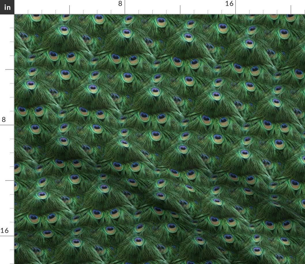 Spoonflower Fabric - Tale Peacock Tail Small Feather Trendy Nature Bird Photo Printed on Petal Signature Cotton Fabric by The Yard - Sewing Quilting Apparel Crafts Decor