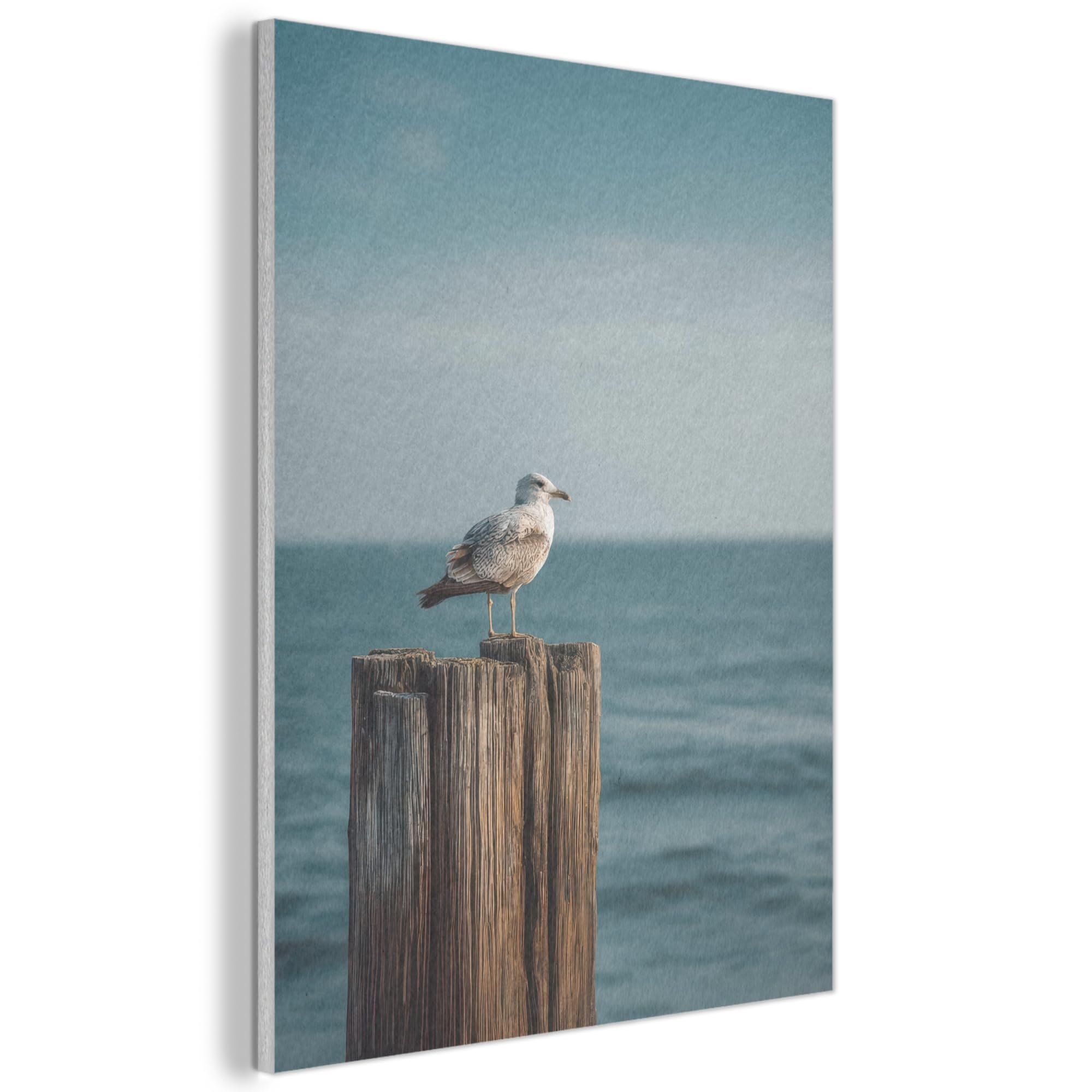 MuchoWow© Felt Panel 60x80 cm House Touch for Living Space Modern Visuals Decoration Wall Art Gull - Pole - Sea