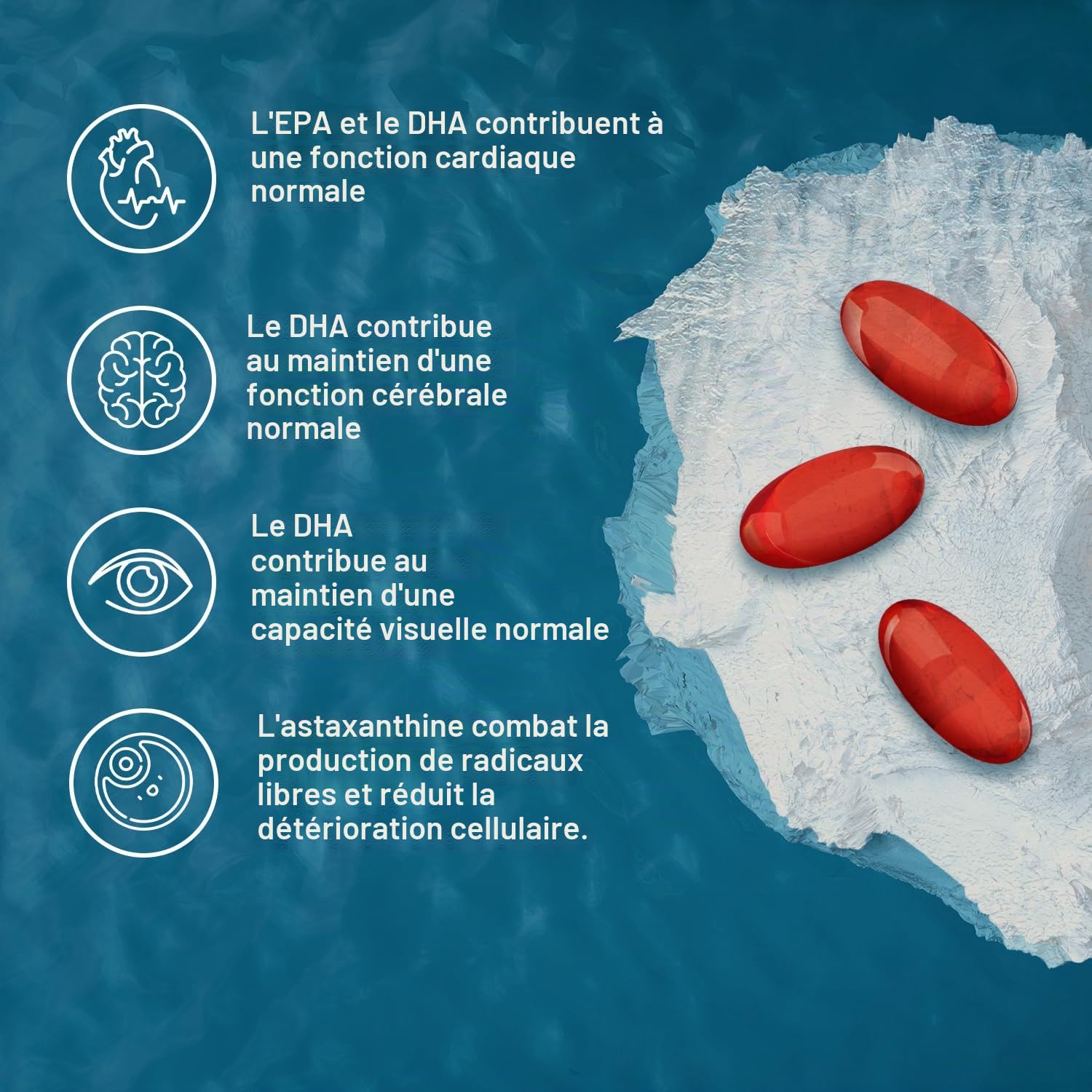 Antartic Krill Superb 60 capsules complément alimentaire à base d'extrait de crustacé krill. Riche en acides gras oméga-3 (EPA et DHA)