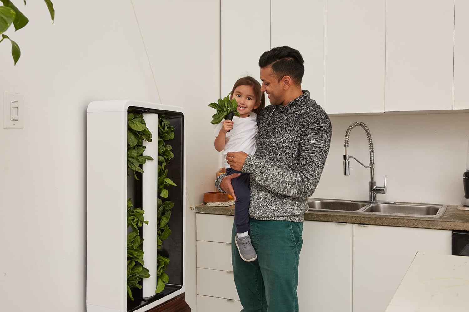 Just Vertical EVE Tower Garden | Hydroponic Growing System | Grow 12 Fresh Herbs & Vegetables Year-Round | Self-Watering, Energy-Efficient LED, Compact Design, Fully Assembled | Walnut