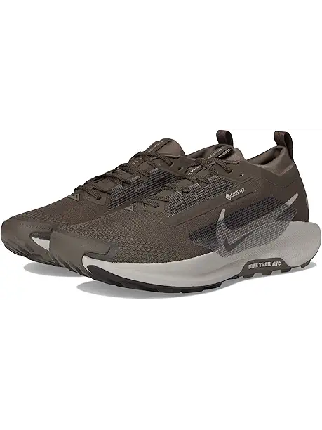 Мужские кроссовки Nike Pegasus Trail 5 GORE-TEX для бега