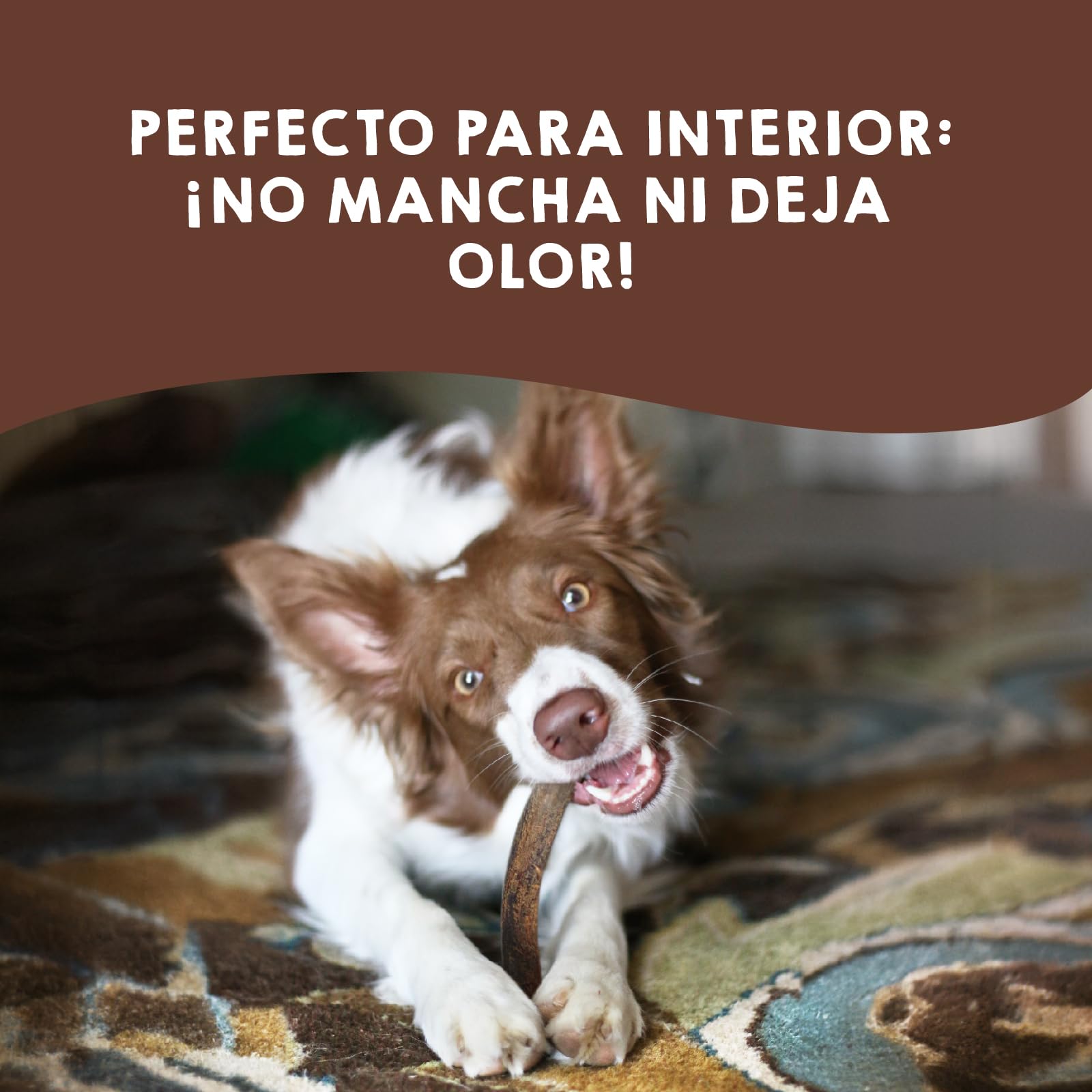 MAIKAI Pack 2 Asta de Ciervo Natural para Perro Talla L – Mordedor Resistente para Razas Medianas hasta 30 kg – Hueso para Perros Grandes Juguete Masticable Duradero y Seguro - Regalo Perro