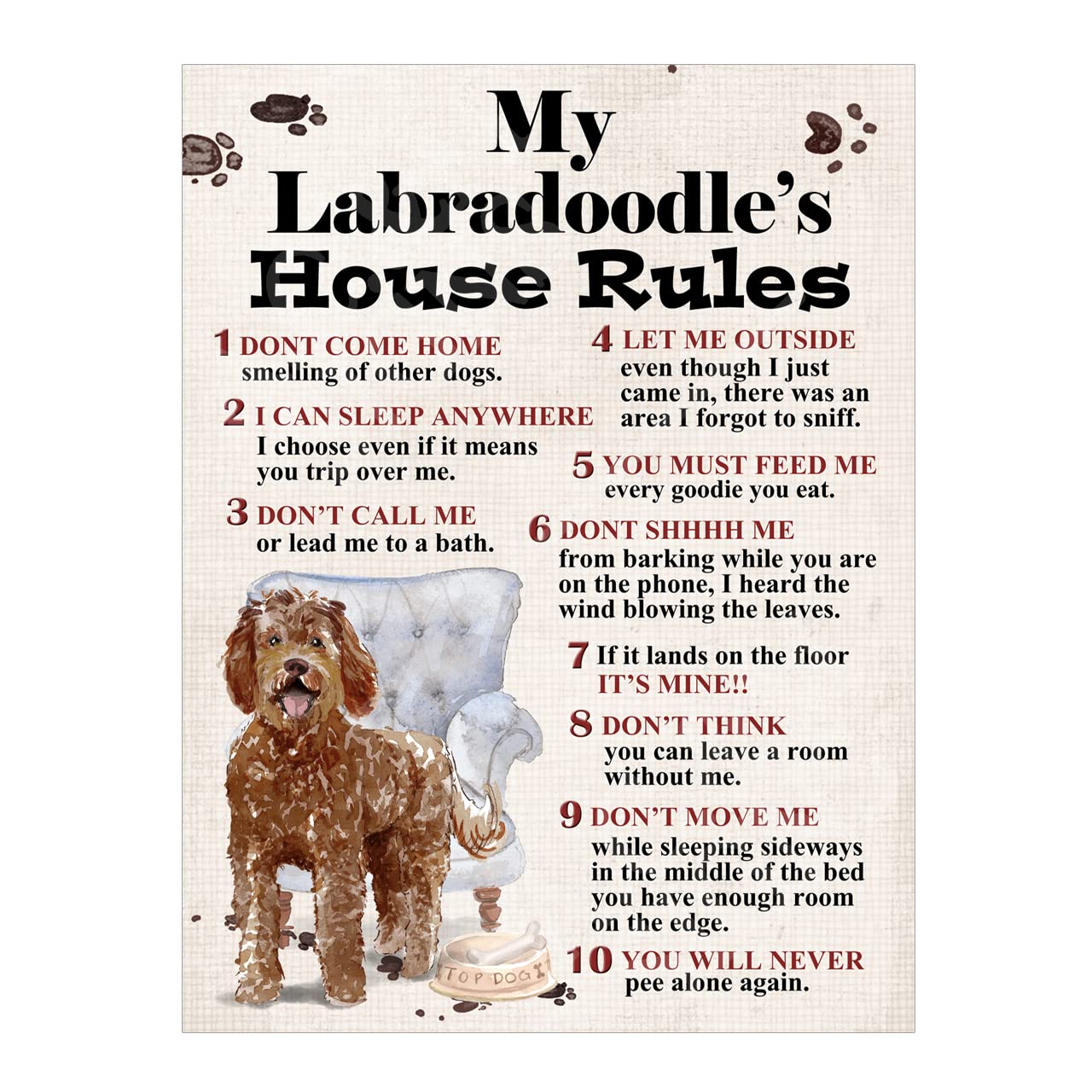 Metal Sign Plaque Dog House Rules My Labradoodle's Pet Home Bar Man Cave Garden Shed Garage Pub Decor Shed Garage size 10x8in ref8263