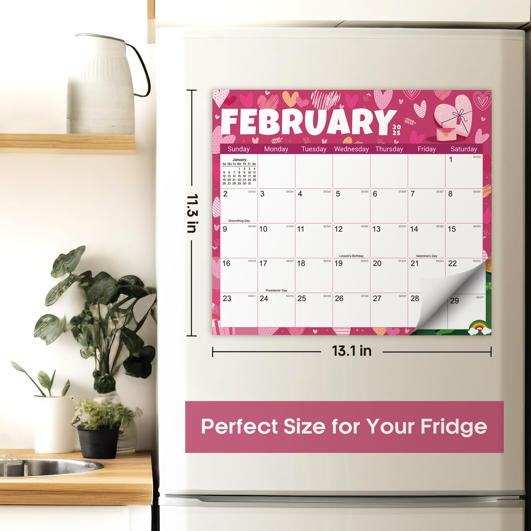 Beautiful 2025-2026 Magnetic Fridge Calendar - Runs From January 2025 Until July