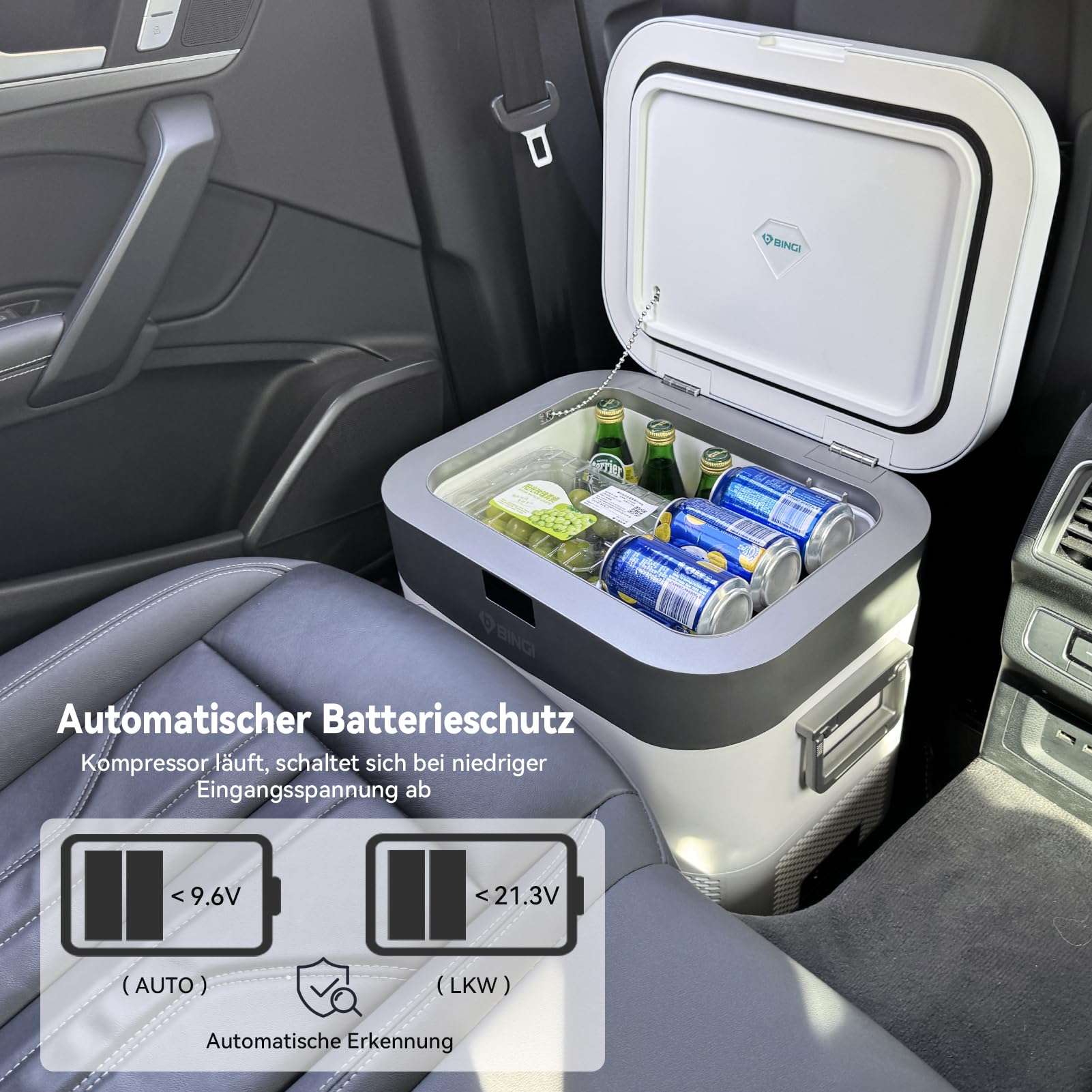 BINGI Kompressor Kühlbox 22L Mini Tragbarer Elektrischer Kühlschrank 12/24V DC Elektrischer Gefrierschrank Tragbarer Gefrierschrank für Auto LKW Picknick Camping und Heimgebrauch