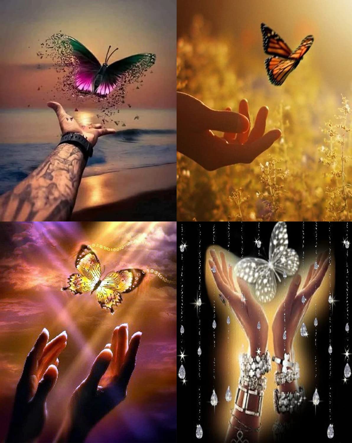 1 KIT completo diamond painting 5d Farfalla 30x30cm fai da te