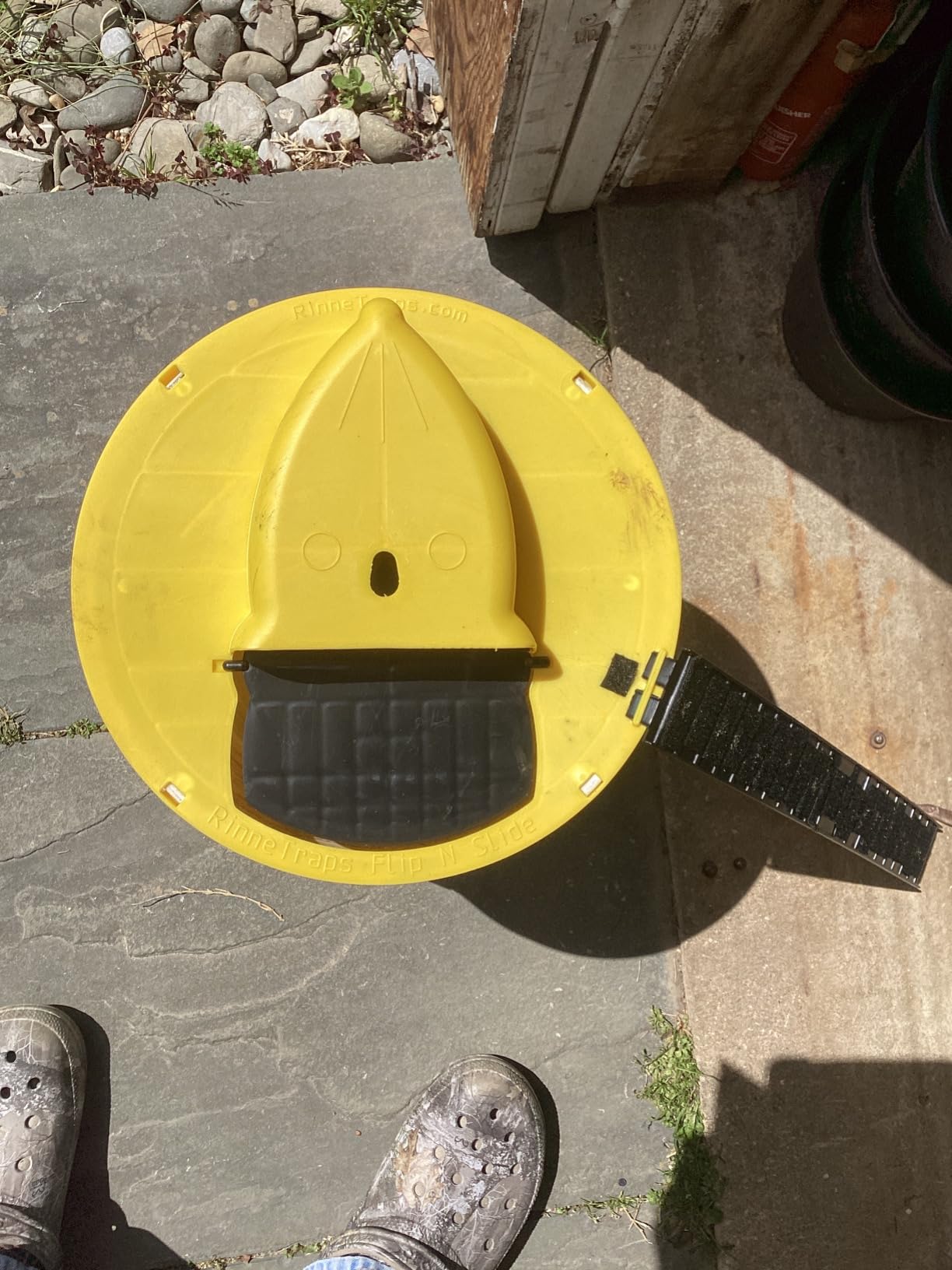 MultiCatch Mouse Trap: Humane & Lethal Mice Solution photo review