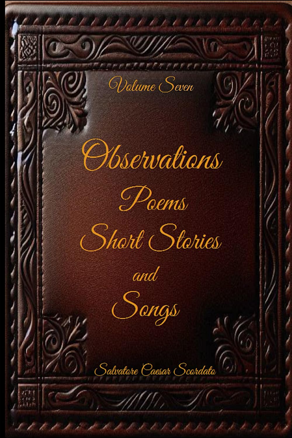 Observations, Poems, Short Stories and Songs: Volume Seven