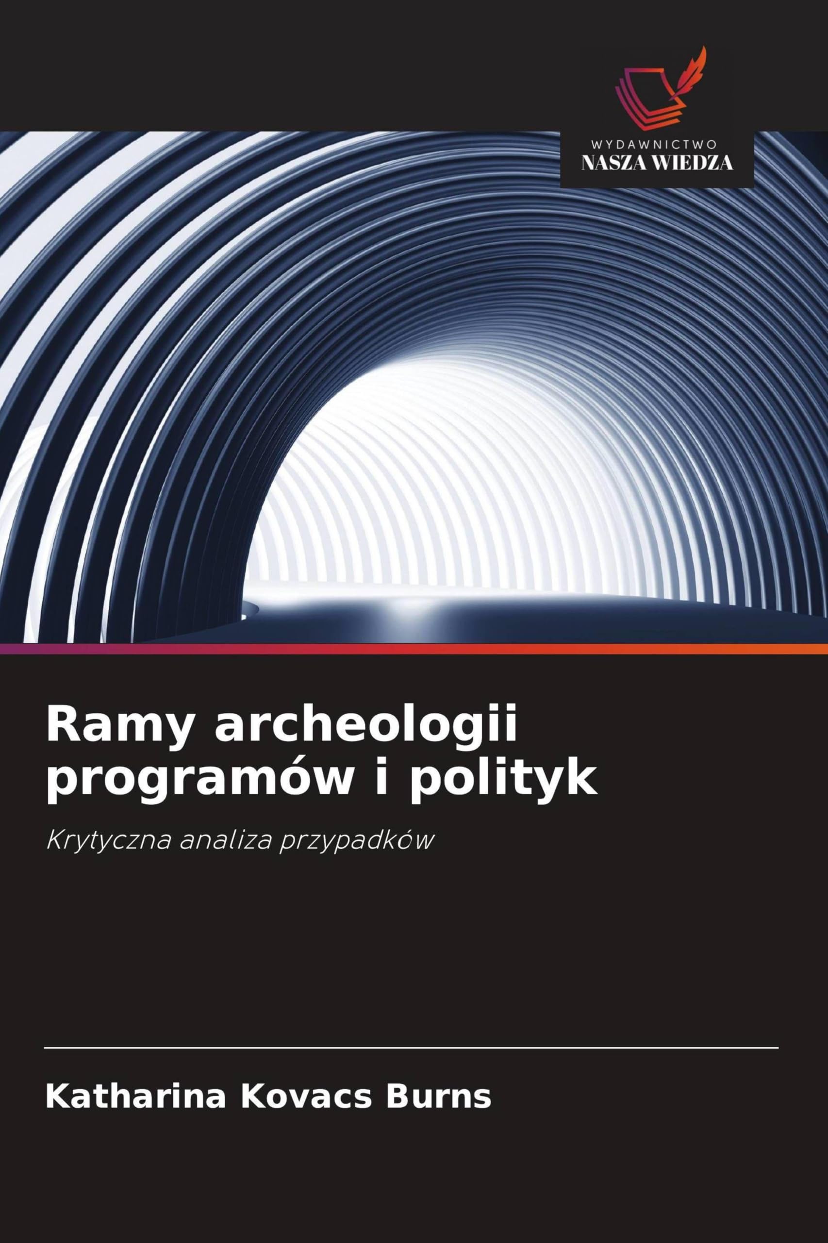 Ramy archeologii programów i polityk: Krytyczna analiza przypadków