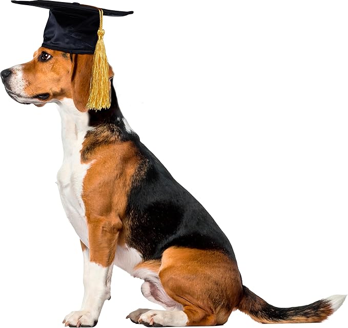 Gorro de Graduación para Perros o Gatos Rubies, Tamaño S/M, Negro miniatura 3