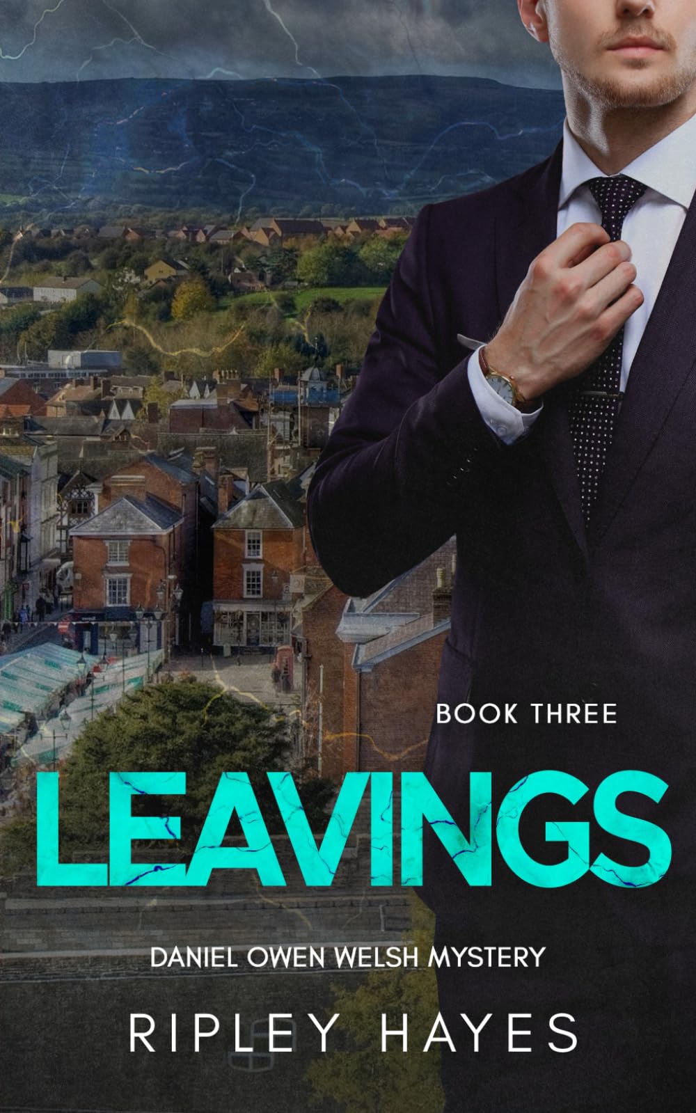 Leavings: A Gay Mystery Daniel Owen Book 3 (Daniel Owen Welsh Mysteries)