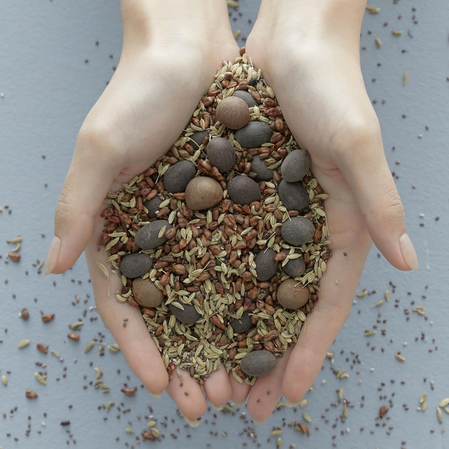 Blithe Vital Treatment 9 Essential Seeds Niacinamide Toner - Korean Skin Essence for Face, Clarifying Oily Skin Vitalizing & Dark Spots 5 Fl Oz