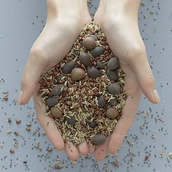 Amazon.com : Blithe Vital Treatment 9 Essential Seeds