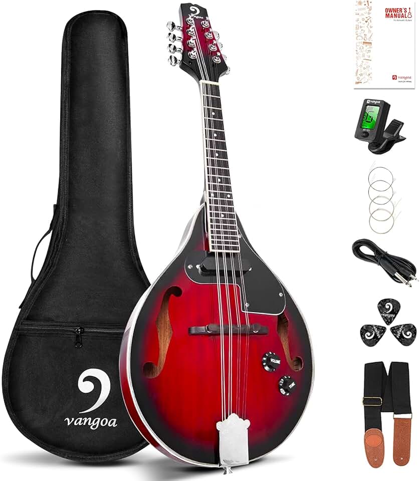 mandolin kit
