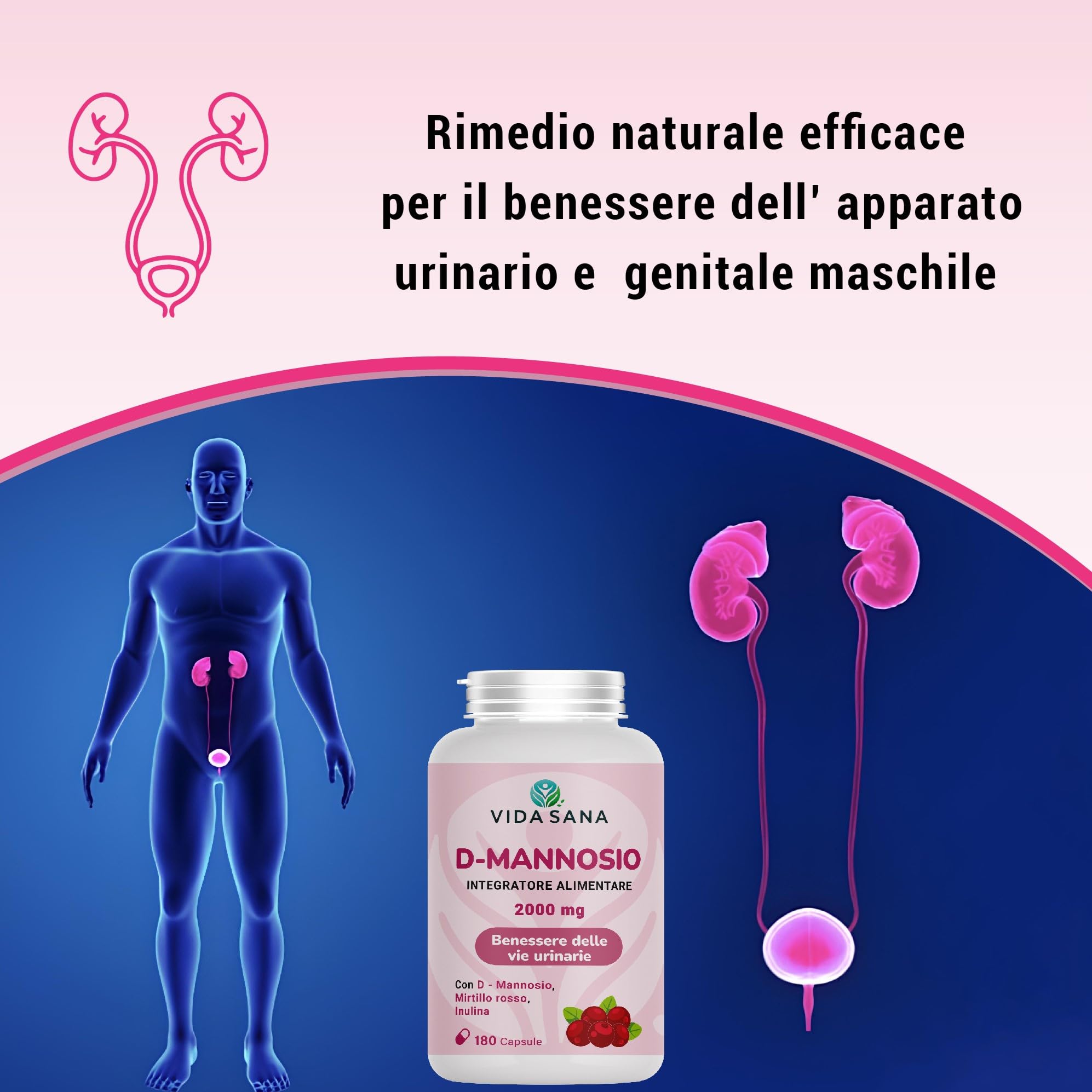 D-Mannosio Puro 2200 mg con Mirtillo Rosso – 180 Capsule | Integratore Donna e uomo per Vie Urinarie e Cistite | Supporto contro Candida e Infezioni Urinarie